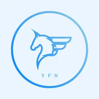 飞马加速器怎么用